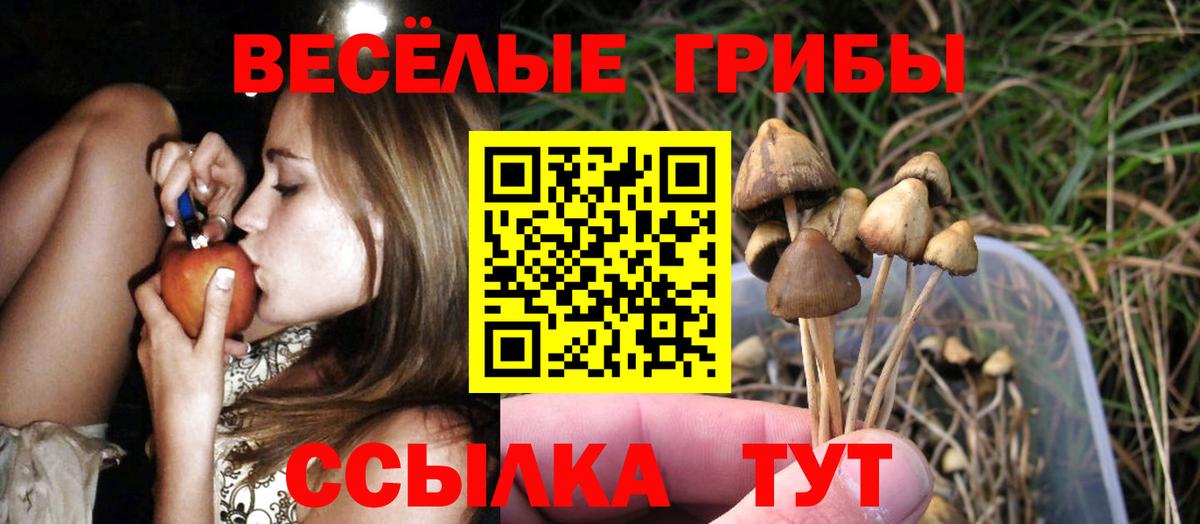 Галлюциногенные грибы ЛСД Чапаевск